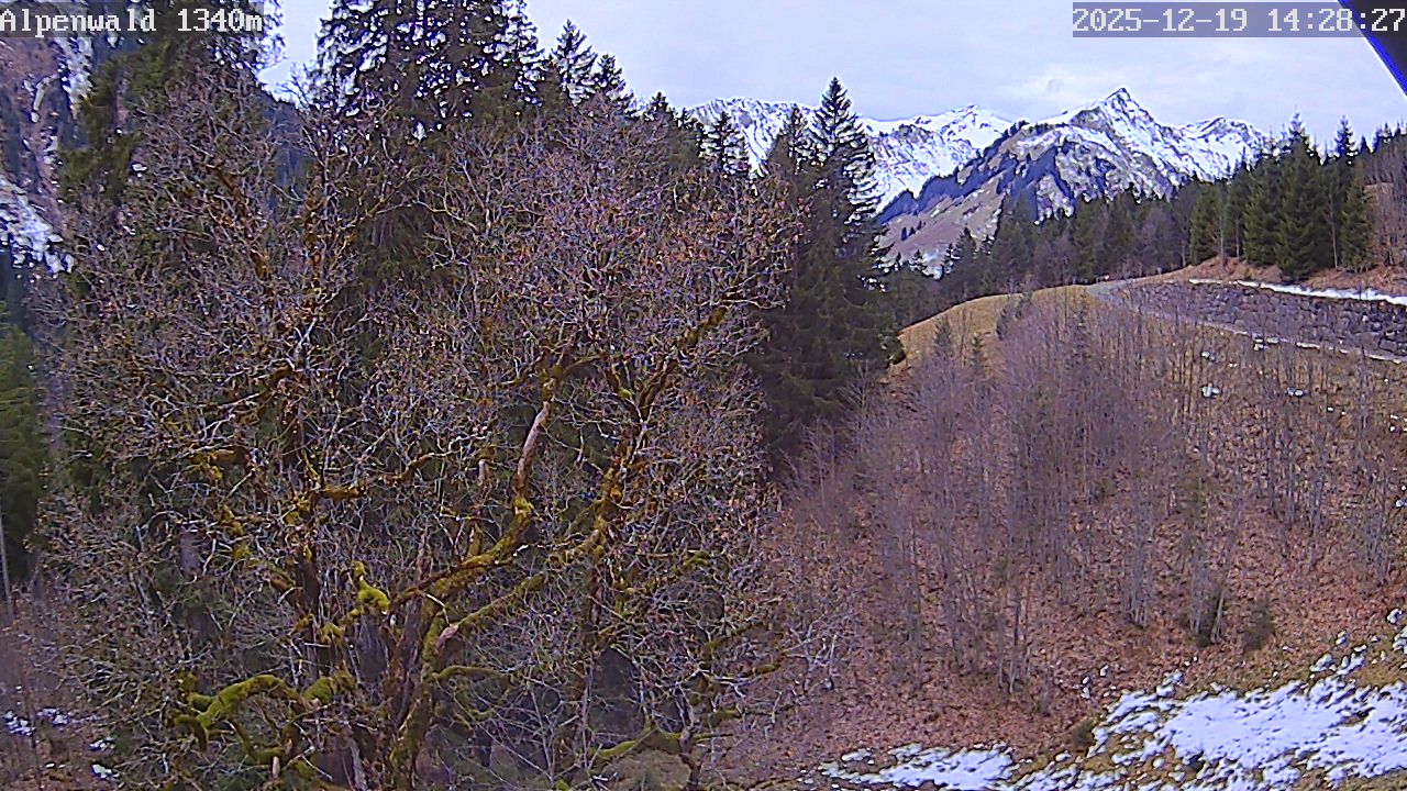 Image: Gasthof Alpenwald